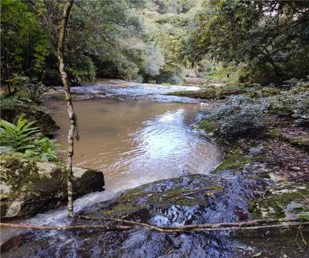 Terra à venda em Pinto Bandeira - Riacho