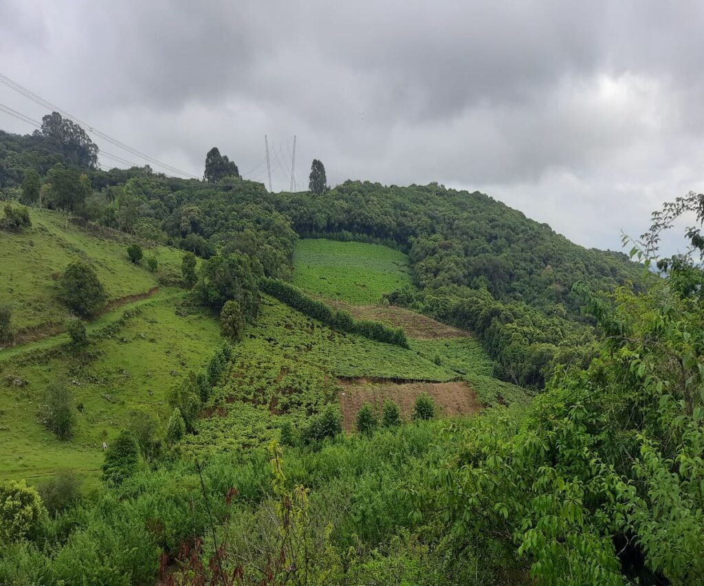 Terra à venda com Pareirais - Vista Total