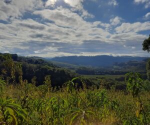 Terra à venda na linha 47 - Vista Oeste