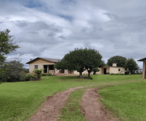 Área à venda em Pinto Bandeira - Casa
