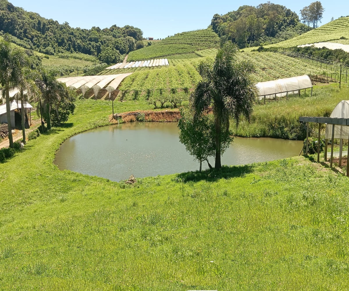 Chácara nos Caminhos de Pedra - Açude
