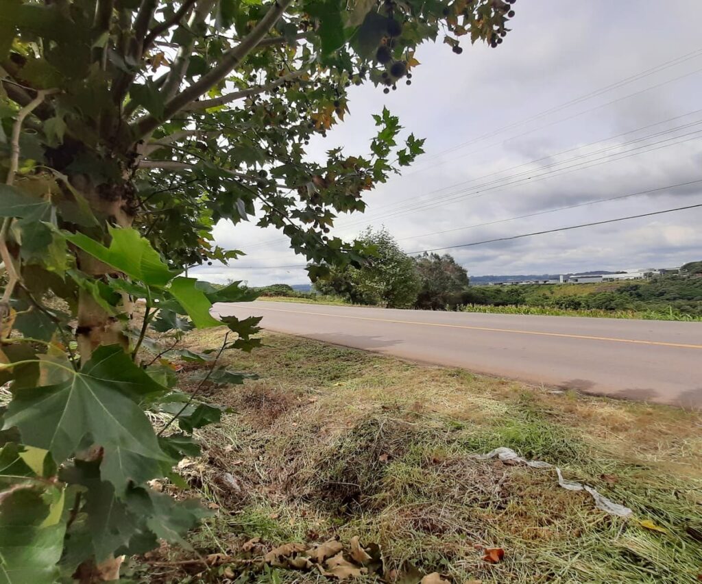Terreno à venda no Salgado - Frente para o asfalto
