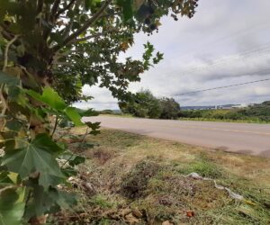 Terreno à venda no Salgado - Frente para o asfalto