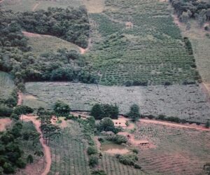 Área à venda na linha Jacinto - Visão Aérea