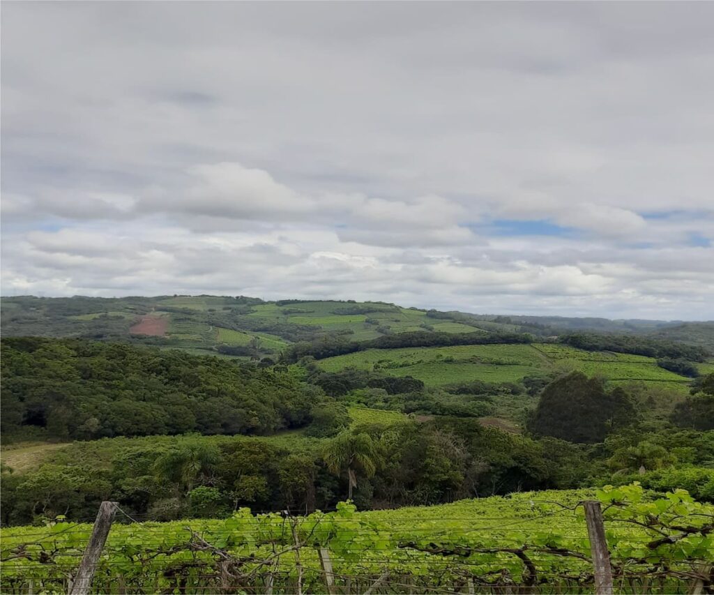 Área à venda nos Caminhos de Pedra - Visão Sul