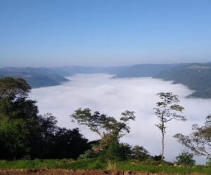 Área à venda na Linha Brasil - Vista pela manhã