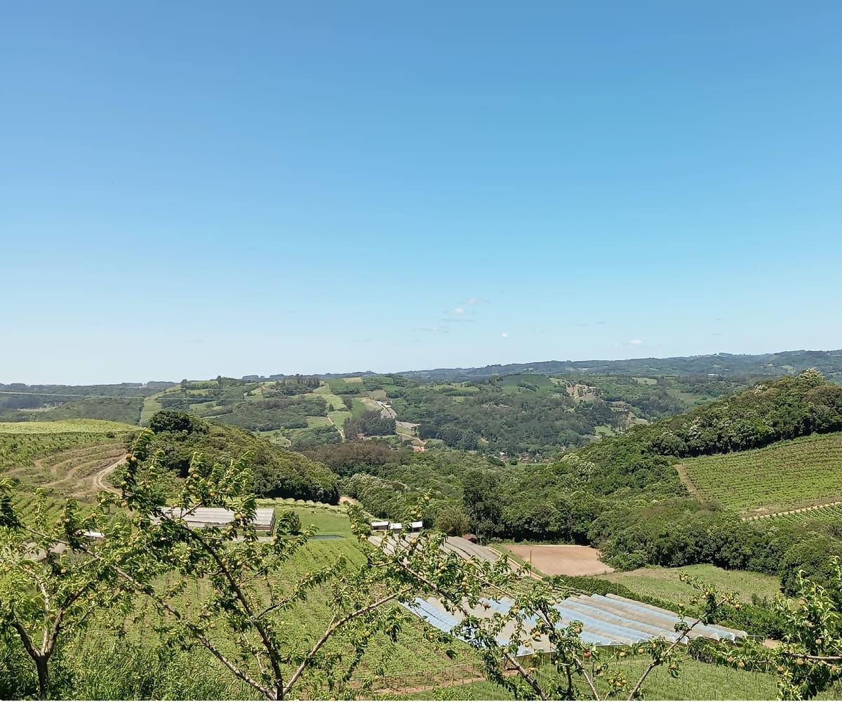 Chácara nos Caminhos de Pedra - Pessegueiros