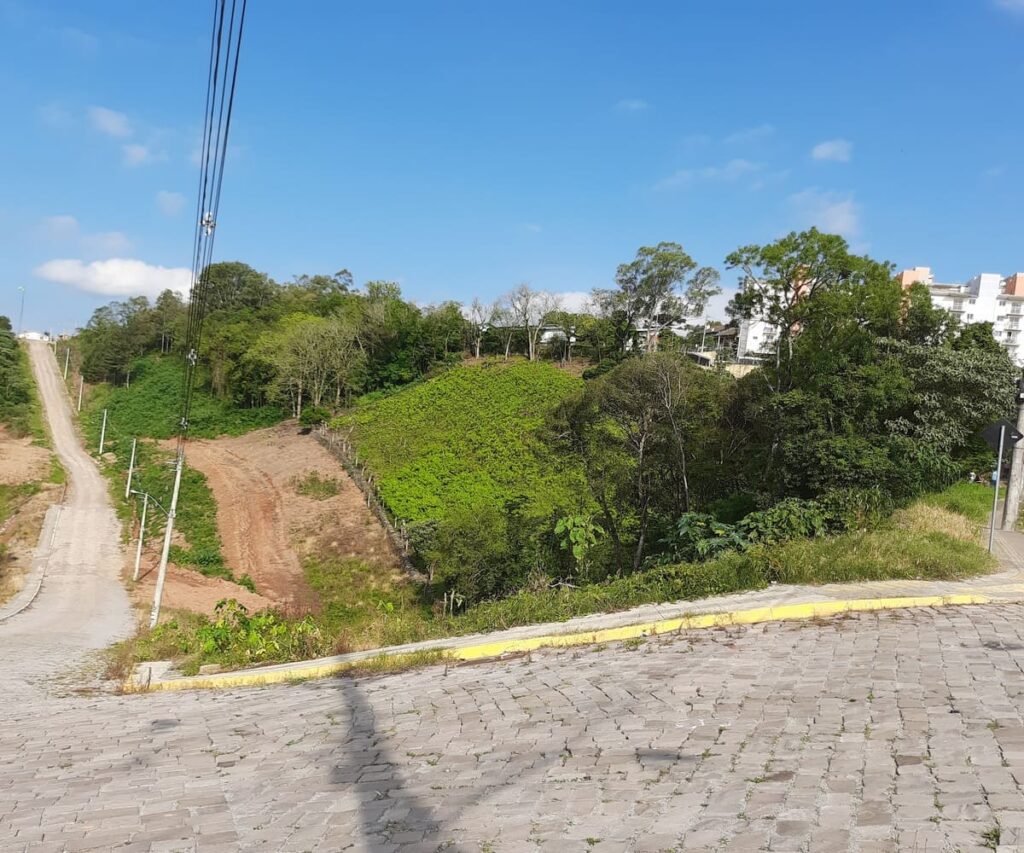 Área à venda em Bento Gonçalves - Frente da terra