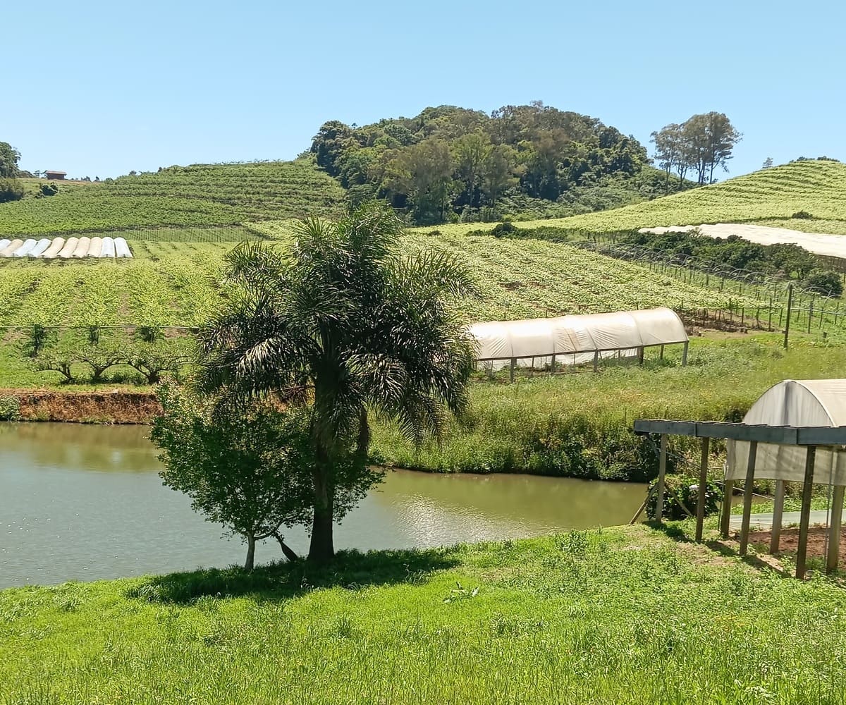 Chácara nos Caminhos de Pedra - Açude Próximo a Casa
