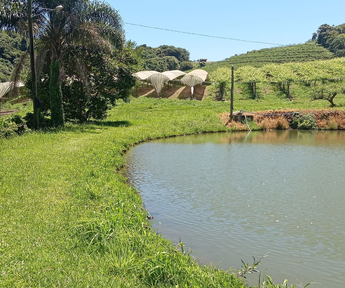 Chácara nos Caminhos de Pedra - Açude Próximo a Casa