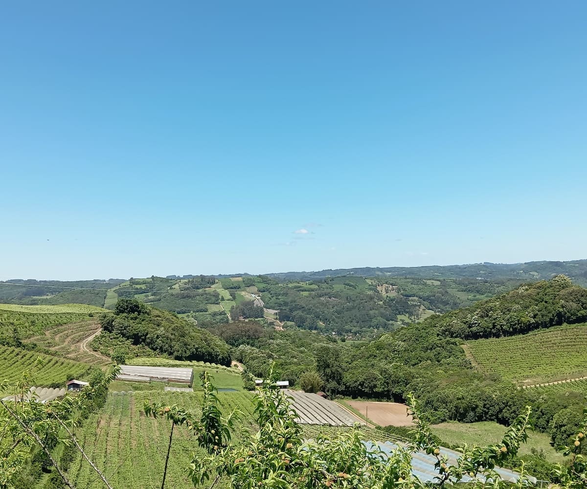 Chácara nos Caminhos de Pedra - Local mais alto