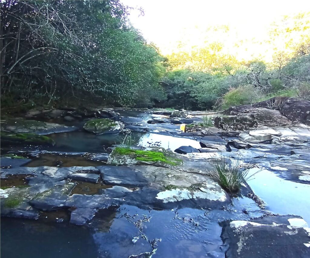 Área de Terra à Venda em Farroupilha - Riacho