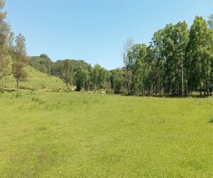 Área de Terra à venda em Pinto Bandeira - Area de Terra