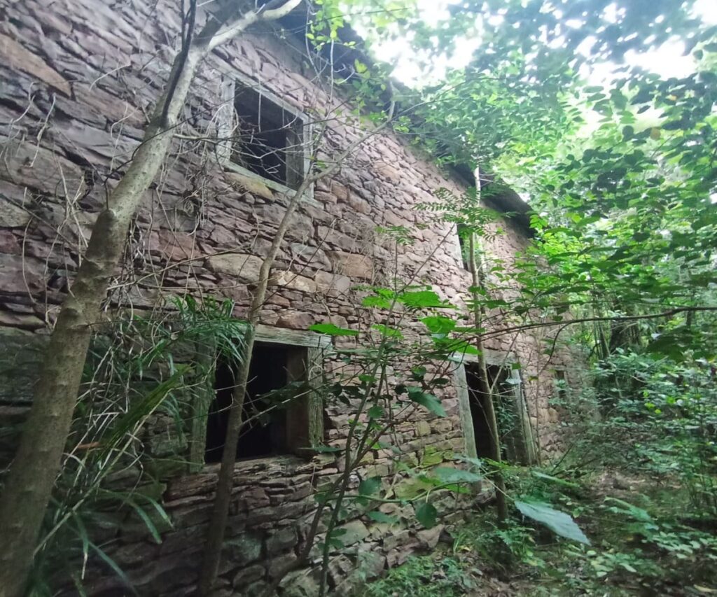 Área de terras à venda em Farroupilha com casa antiga - Casa Antiga