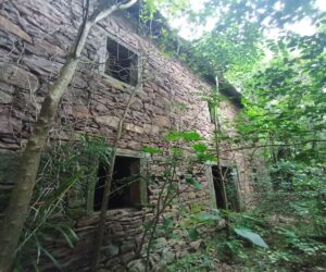 Área de terras à venda em Farroupilha com casa antiga - Casa Antiga