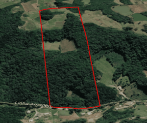 Área de terra à venda em Farroupilha localizada na Linha Amadeo - Vista Aérea